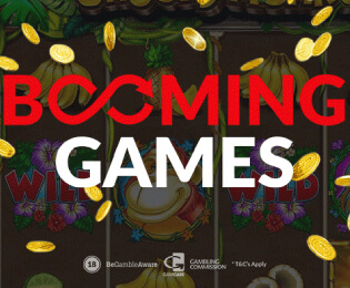 Провайдер BoomingGames